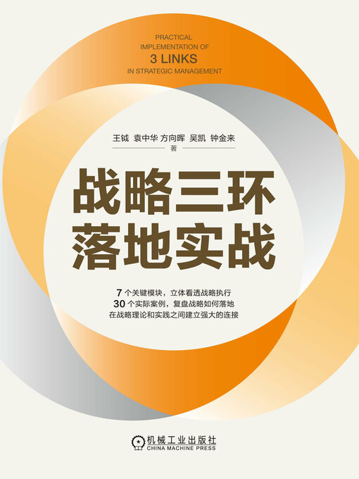 Cover image for 战略三环落地实战